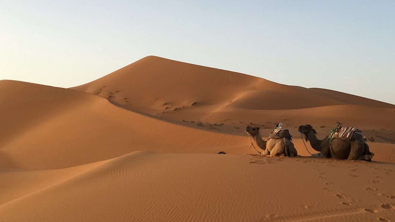 Road to Desert • Morocco Merzouga