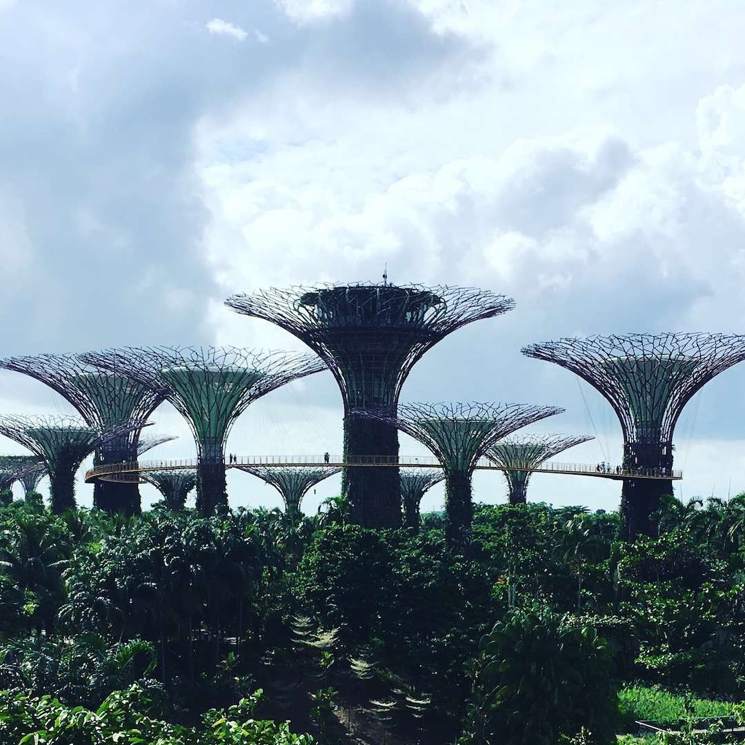 Gardens by the Bay – Singapore