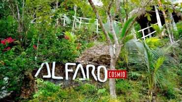 AL FARO COSMIO