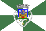 Flag of Porto