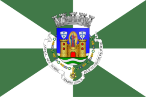 Flag of Porto
